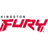 Kingston Fury